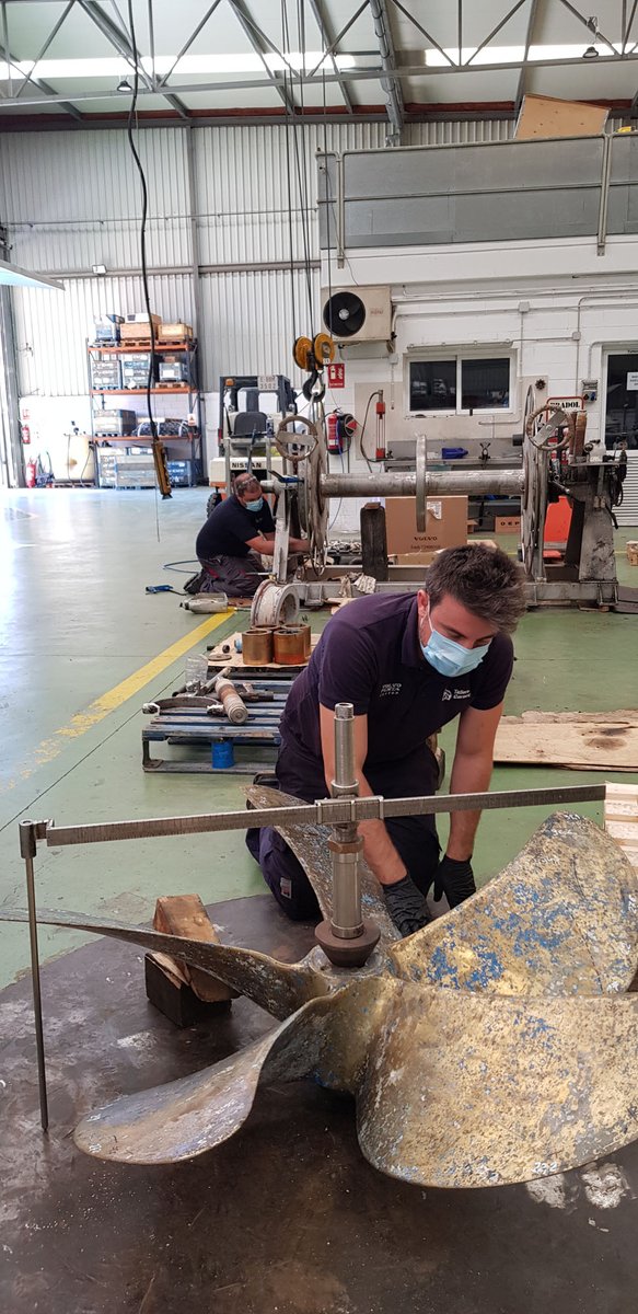 Imagen de Capitol 11 - 2020